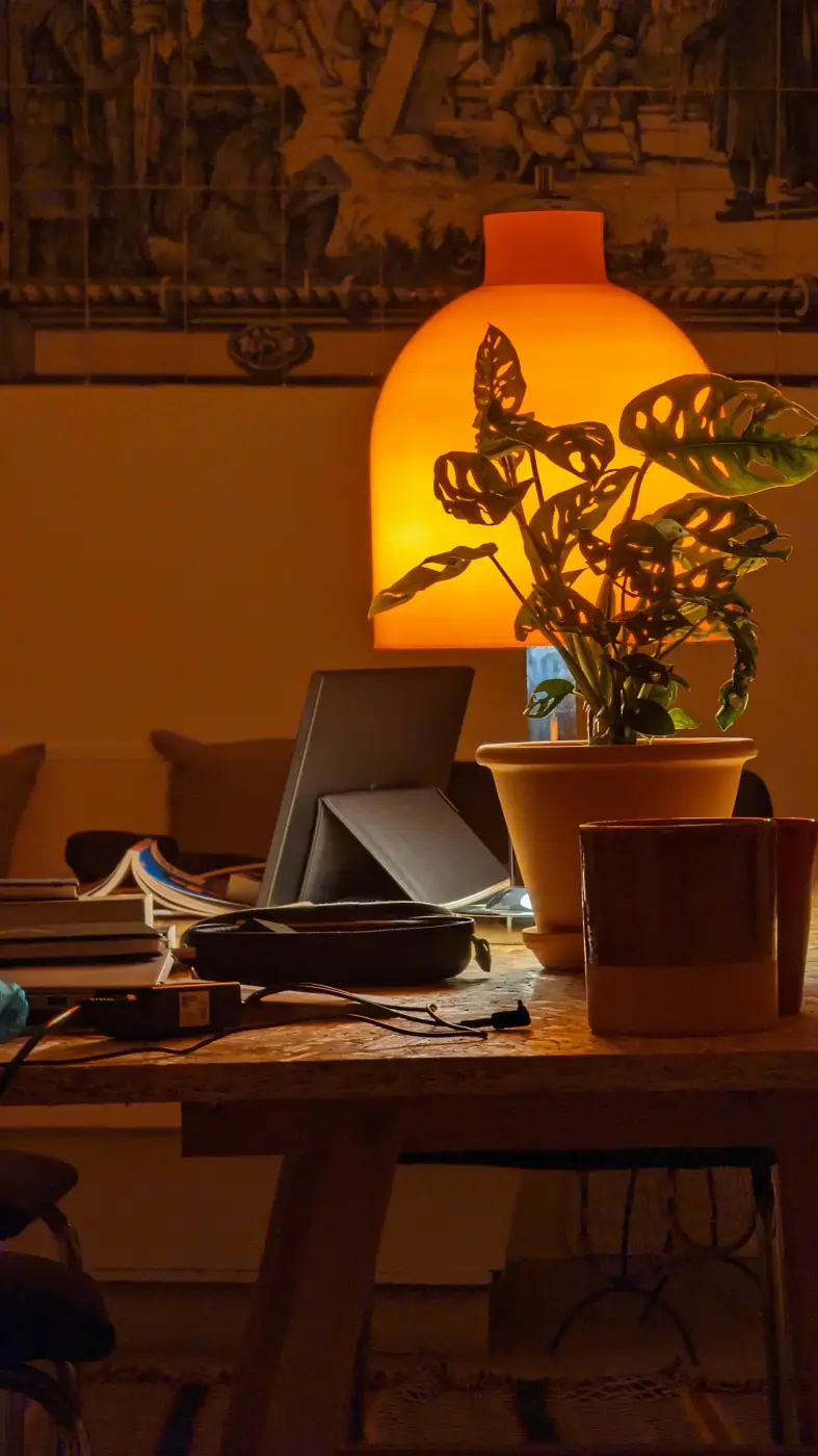 Quiet coworking space with high speed internet at Manas Slowliving in Alentejo