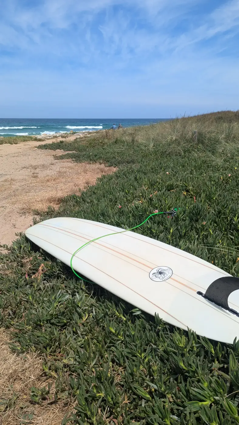 Tabla de surf en ESLA, escuela de surf en la costa del Alentejo